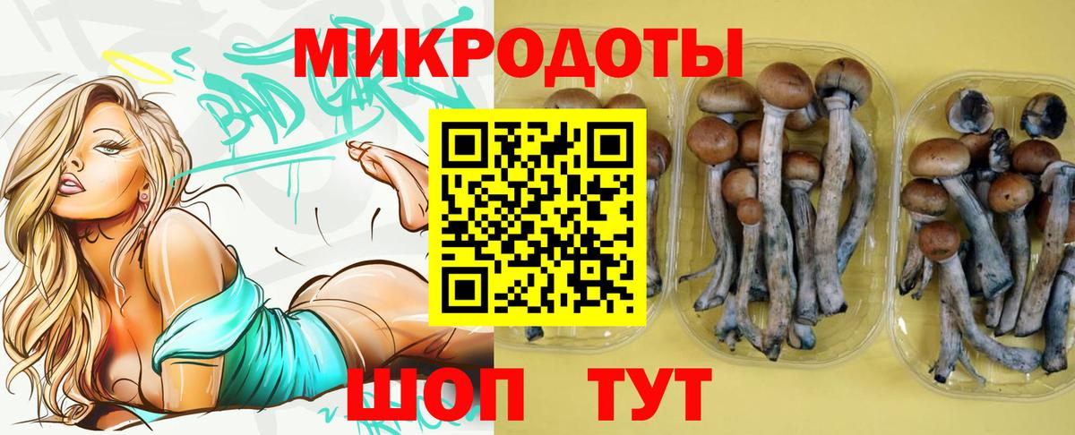 Галлюциногенные грибы Magic Shrooms Ковров